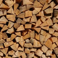 מאמרים ומידע קמיני עץ